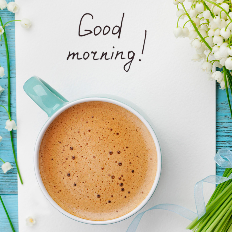 Bom dia meu amor! Mande uma mensagem para quem você ama!