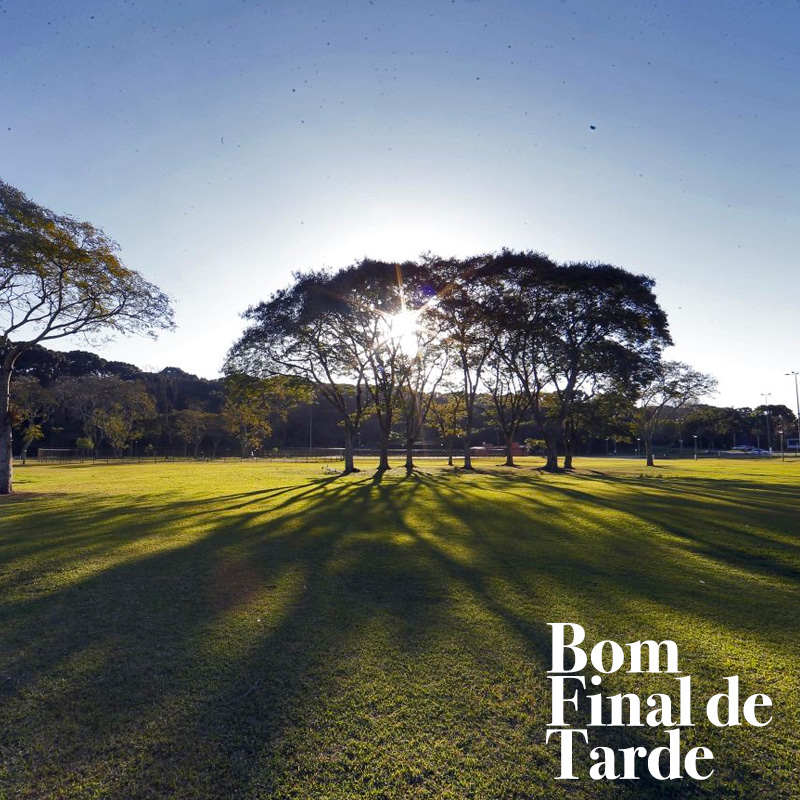 Boa tarde! Mensagens de Boa Tarde para você compartilhar por aí