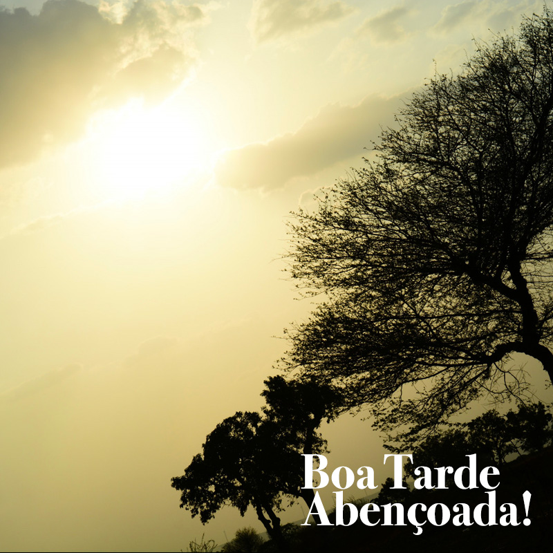 Mensagens de Boa Tarde Abençoada e Especial