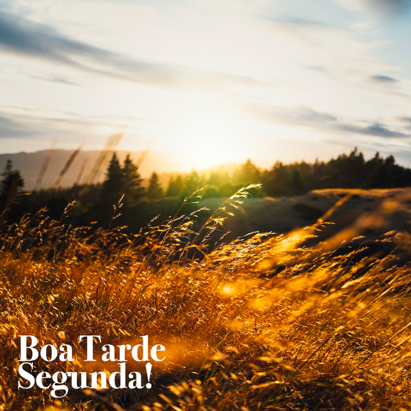 Mensagens de Boa Tarde Segunda Feira para você postar nas redes sociais