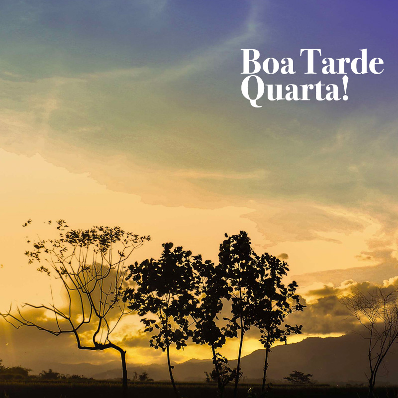 Boa tarde Quarta Feira! Frases lindas para você enviar na tarde de quarta