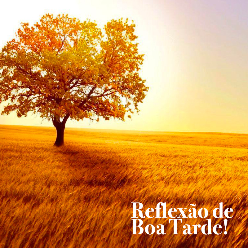 Reflexão mensagem de boa tarde para você enviar nas redes sociais